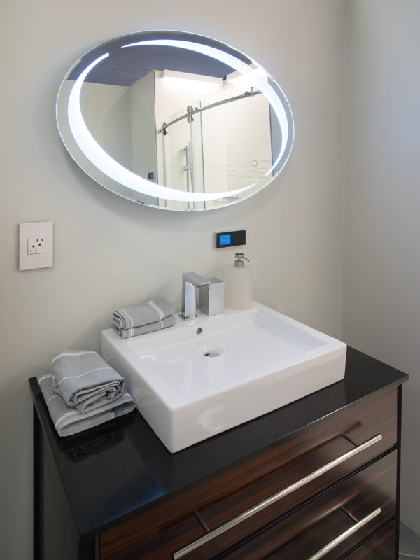 Sergena Oval LED Vanity Mirror & Reviews Wayfair