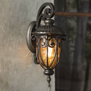 Massey 1-Light Outdoor Wall Lantern