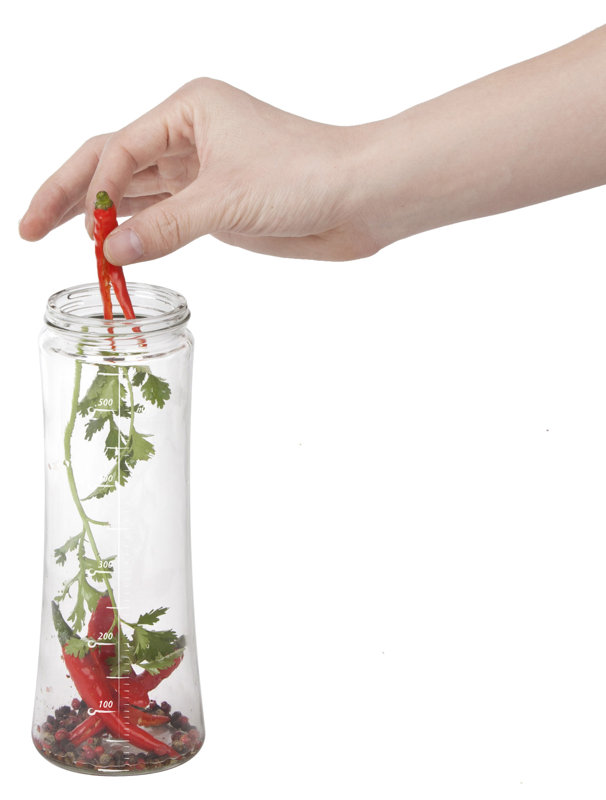 Cuisinox Cuisinox 550ml Herb Infuser Bottle & Reviews Wayfair