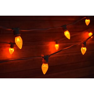 50-Light 54 ft. Globe String Light