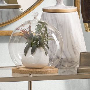 Large Gl Cloche Wayfair Gl Cloche