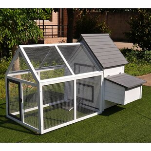 Chicken Pen Wayfair