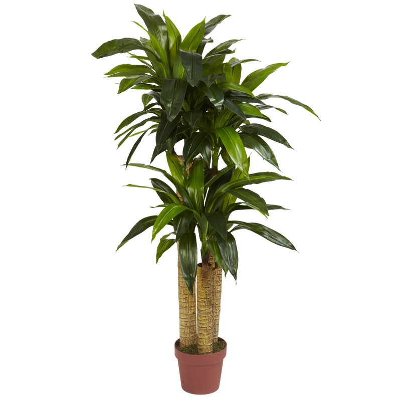Wrought Studio Corn Stalk Dracaena Silk Floor Plant in Pot