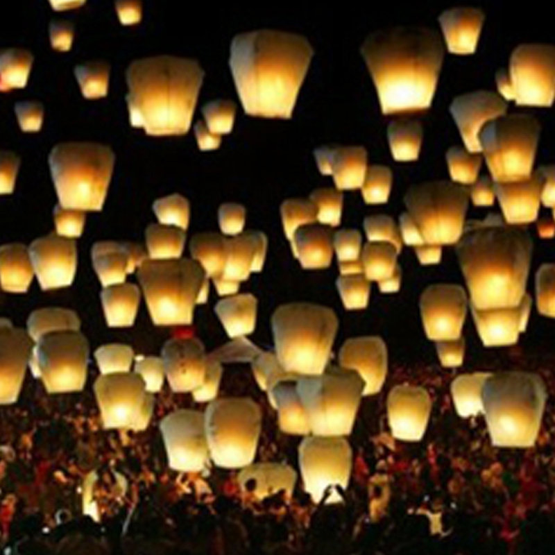 Luminarias Sky Lantern & Reviews Wayfair