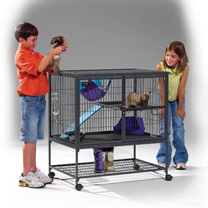 Ferret Nation Single Unit Cage