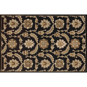 Ashford Hand-Woven Black/Brown Area Rug