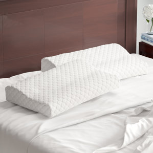 Sleep Foam Pillow (Set of 2) by Alwyn Home