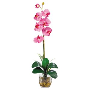 Liquid Illusion Single Phalaenopsis Silk Orchid Flowers in Dark Pink