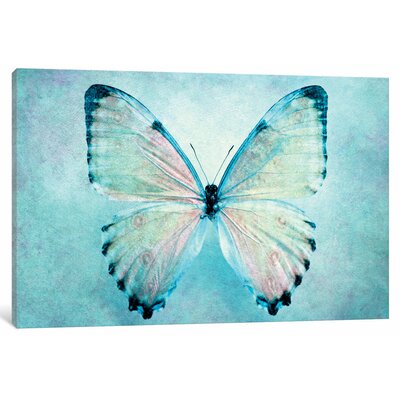 Butterfly Decor | Wayfair