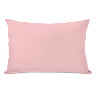 Hot Pink Velvet Pillow Wayfair Save