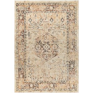 Gabrielle Burnt Orange Area Rug