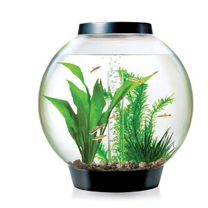 4 Gallon Classic Aquarium Bowl