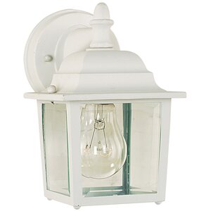 Aliya 1-Light Outdoor Wall Lantern