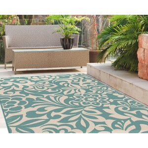 Barnsley Aqua/Cream Indoor/Outdoor Area Rug