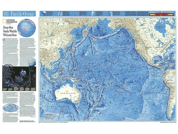 National Geographic Maps World Pacific Ocean Floor Map | Wayfair