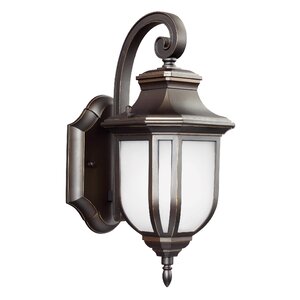 Teri 1-Light Outdoor Wall Lantern