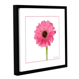 Gerbera Daisy Wall Art Wayfair Pink Gerbera Daisy Framed Photographic Print On Gallery Wred Canvas