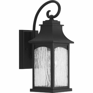 De Witt 1-Light Outdoor Wall Lantern