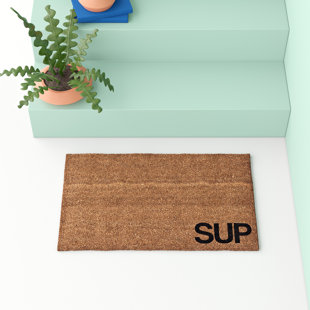 Modern Doormats Allmodern Danforth Door Mat
