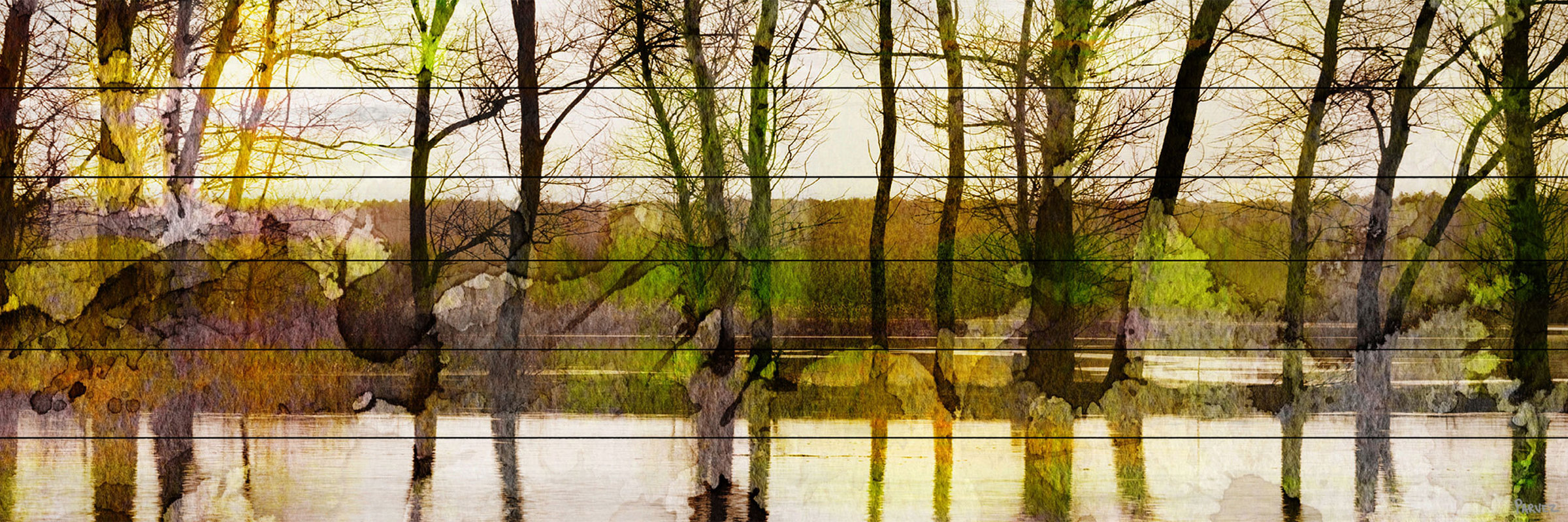 Parveztaj 'lake Trees' By Parvez Taj Painting Print On White Wood - Defaultname parveztaj 'lake trees' by parvez taj painting print on white wood - defaultname