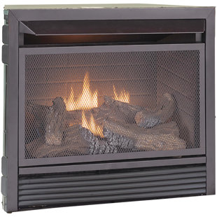 Natural Gas & Propane Indoor Fireplaces You\'ll Love | Wayfair Natural Gas & Propane Indoor Fireplaces You\'ll Love | Wayfair
