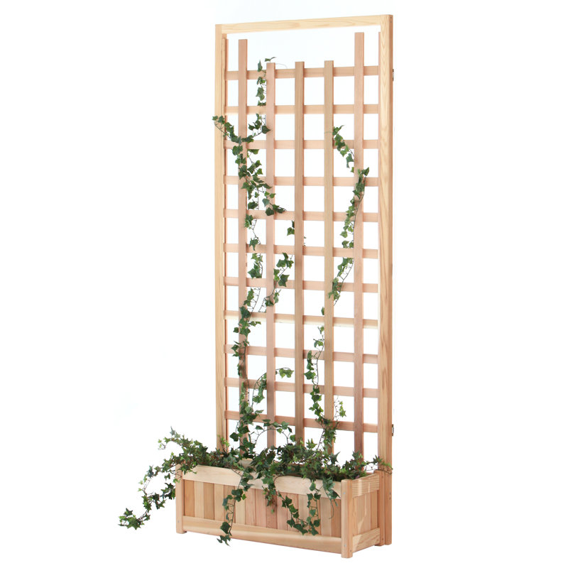 All Things Cedar 2 Piece Wood Lattice Panel Trellis Set & Reviews Wayfair