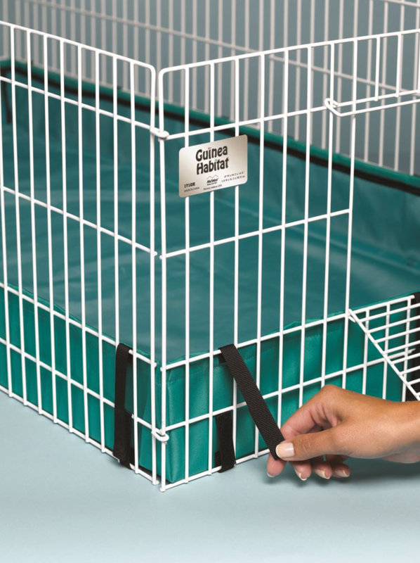 Midwest Homes For Pets Guinea Pig Playpen & Reviews Wayfair