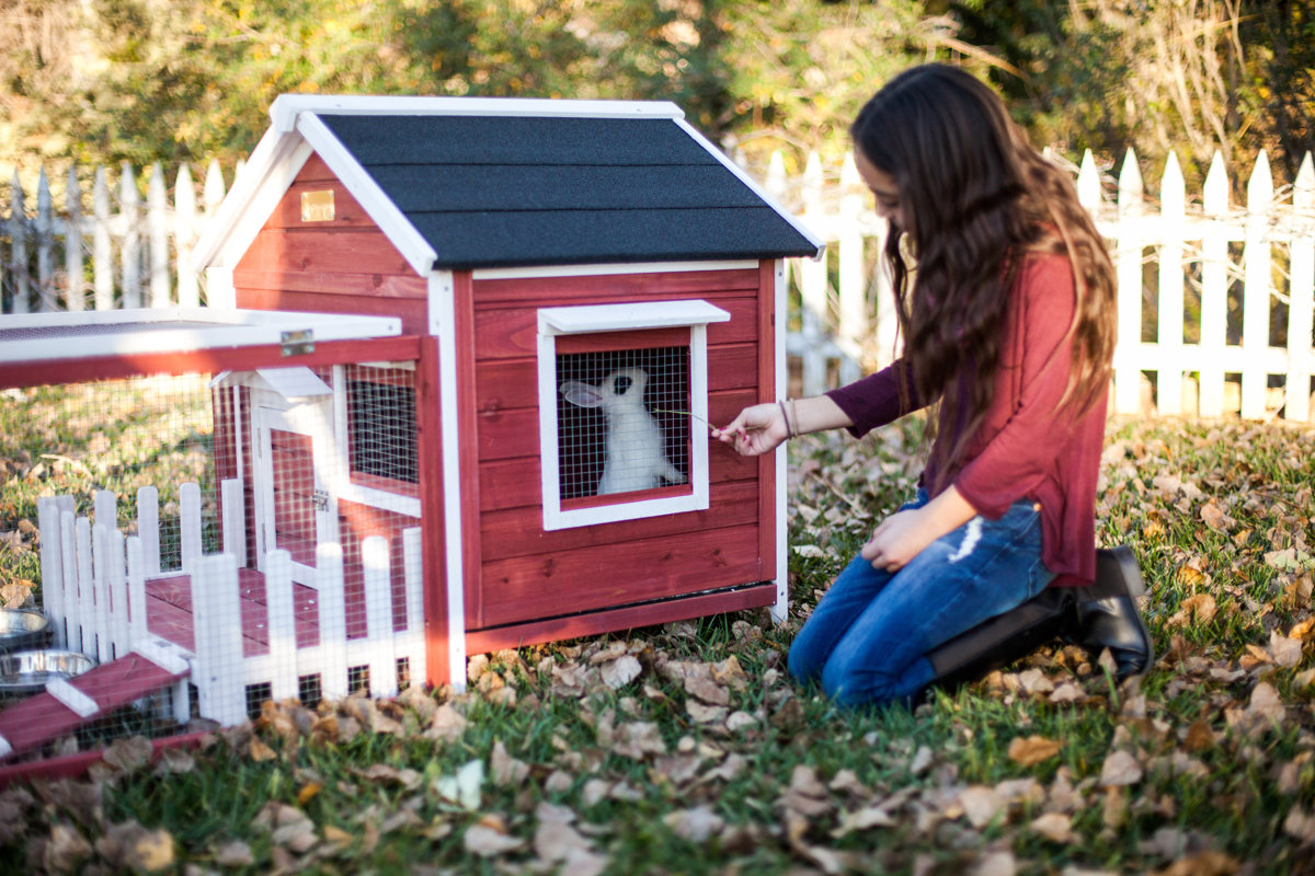 Advantek The White Picket Fence Rabbit Hutch & Reviews Wayfair