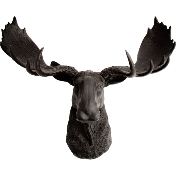 Moose Wall Decor white faux taxidermy the leonard moose head wall décor & reviews Moose Wall Decor white faux taxidermy the leonard moose head wall décor & reviews