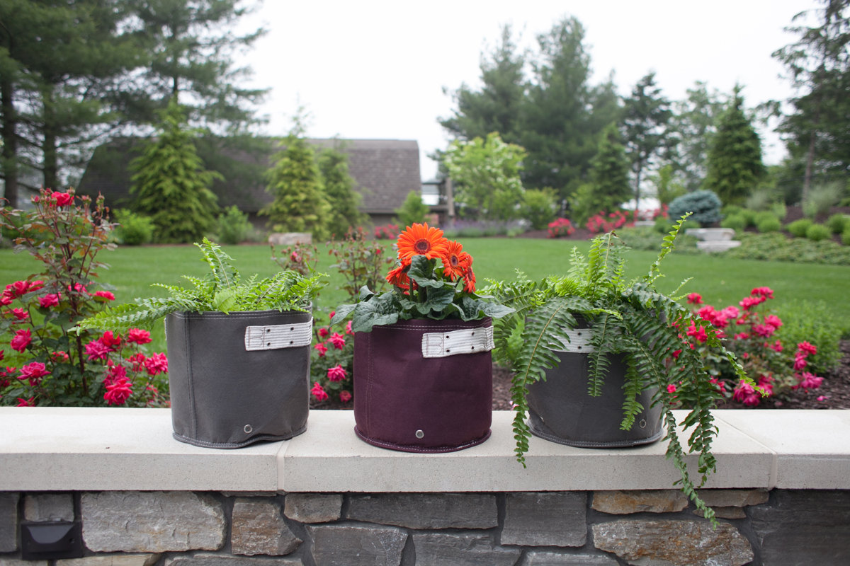 Bloem Classic Fabric Pot Planter & Reviews Wayfair