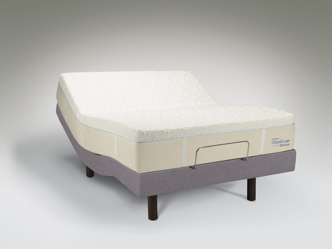 Tempur-Pedic Ergo™ Dual Adjustable Bed Base & Reviews | Perigold