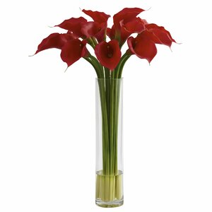 Red Calla Lily with Large Cylinder Vase