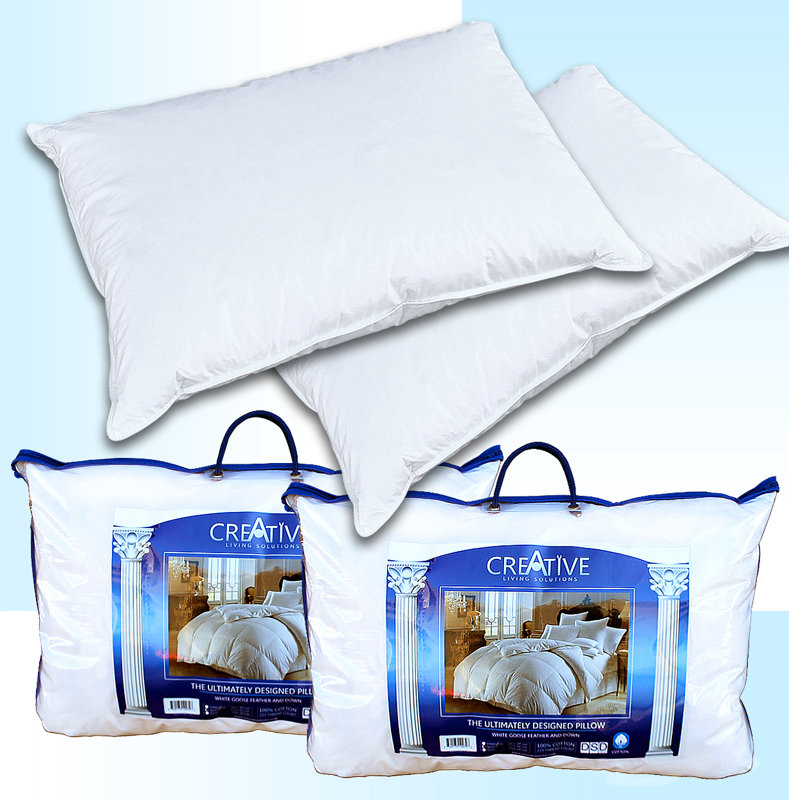 DSD Group Down Comforter and Pillow Set & Reviews Wayfair