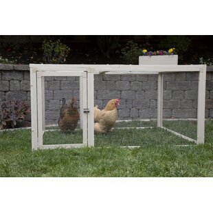 Chicken Pen Wayfair