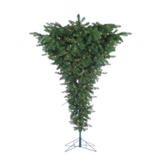 Pre Lit Palm Tree 75 Green Artificial Christmas With 600 Clear White Lights Stand Pre Lit Palm Tree 75 Green Artificial Christmas With 600 Clear White Lights Stand