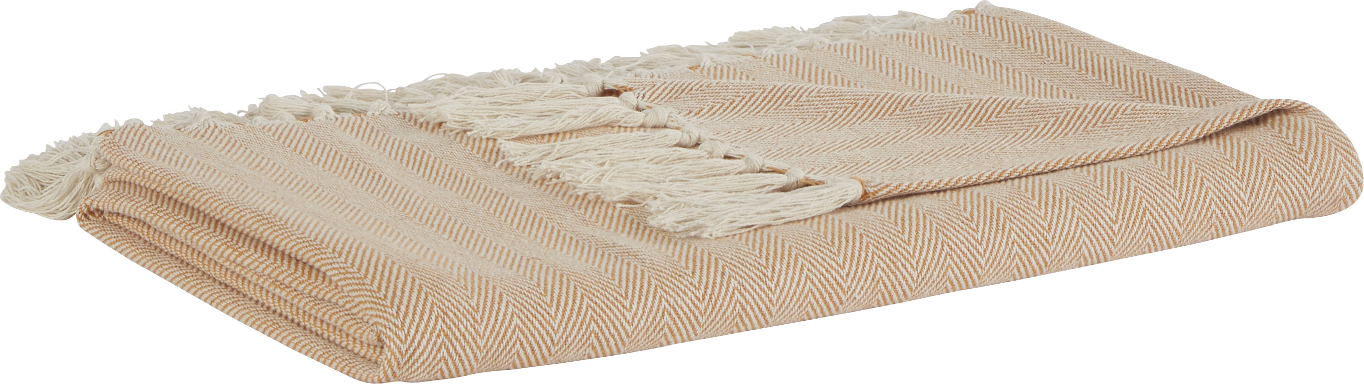 Beachcrest Home Panama City Beaches Cotton Throw Blanket & Reviews