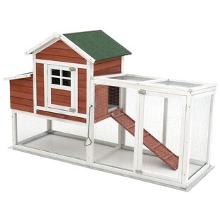 Chicken Coops Youll Love In 2019 Wayfair