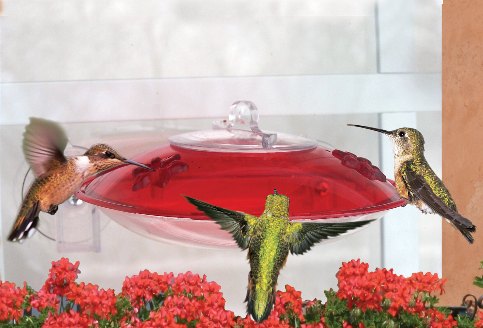 Droll Yankees Window Hummer 3 Window Hummingbird Feeder Reviews