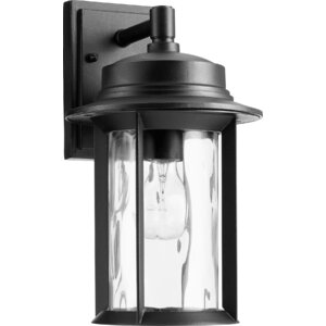 Osmond Modern 1-Light Outdoor Wall Lantern