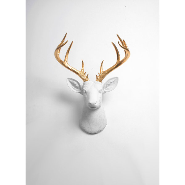White Deer Head Wall Decor Wayfair