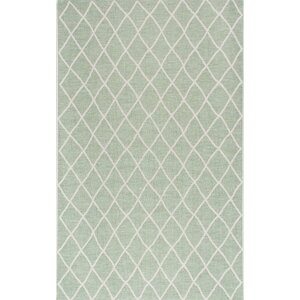 Kassik Green Indoor/Outdoor Area Rug