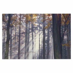 Alison Coxon Autumn Sunbeams Trees Photography Doormat