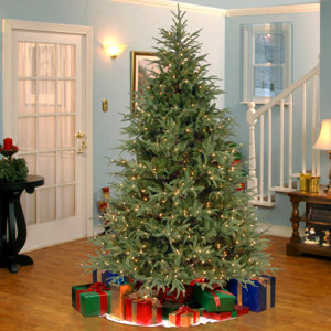 7.5' Frasier Green Grande Artificial Christmas Tree with 1000 Clear Lights with Stand