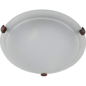 Carter 2-Light Flush Mount