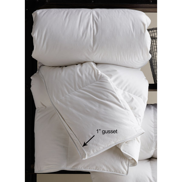 Down Inc Winter Weight Polyester Filled Duvet Insert Reviews Down Inc Winter Weight Polyester Filled Duvet Insert Reviews Wayfair