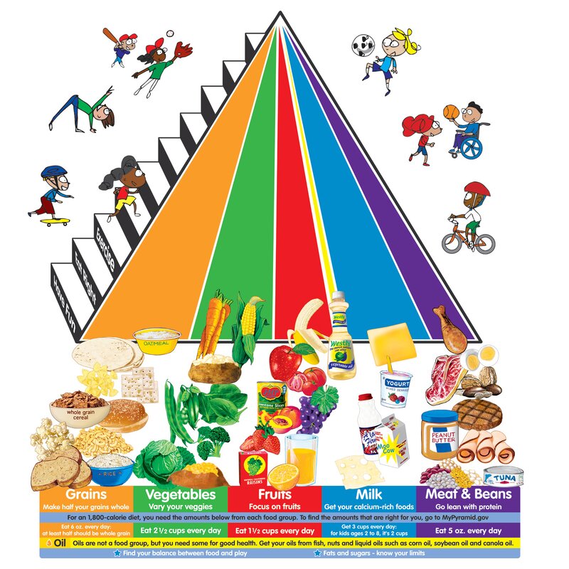 Little Folks Visuals Food Pyramid Bulletin Board Cut Out & Reviews ...