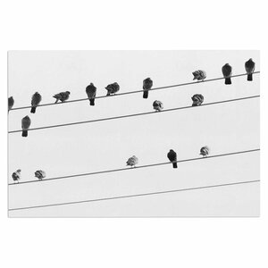 'Birds on Wire' Doormat