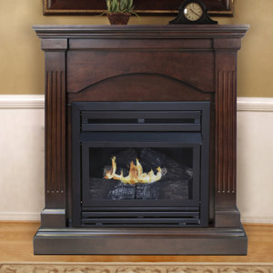 Dual Fuel Vent Free Wall Mount Gas Fireplace