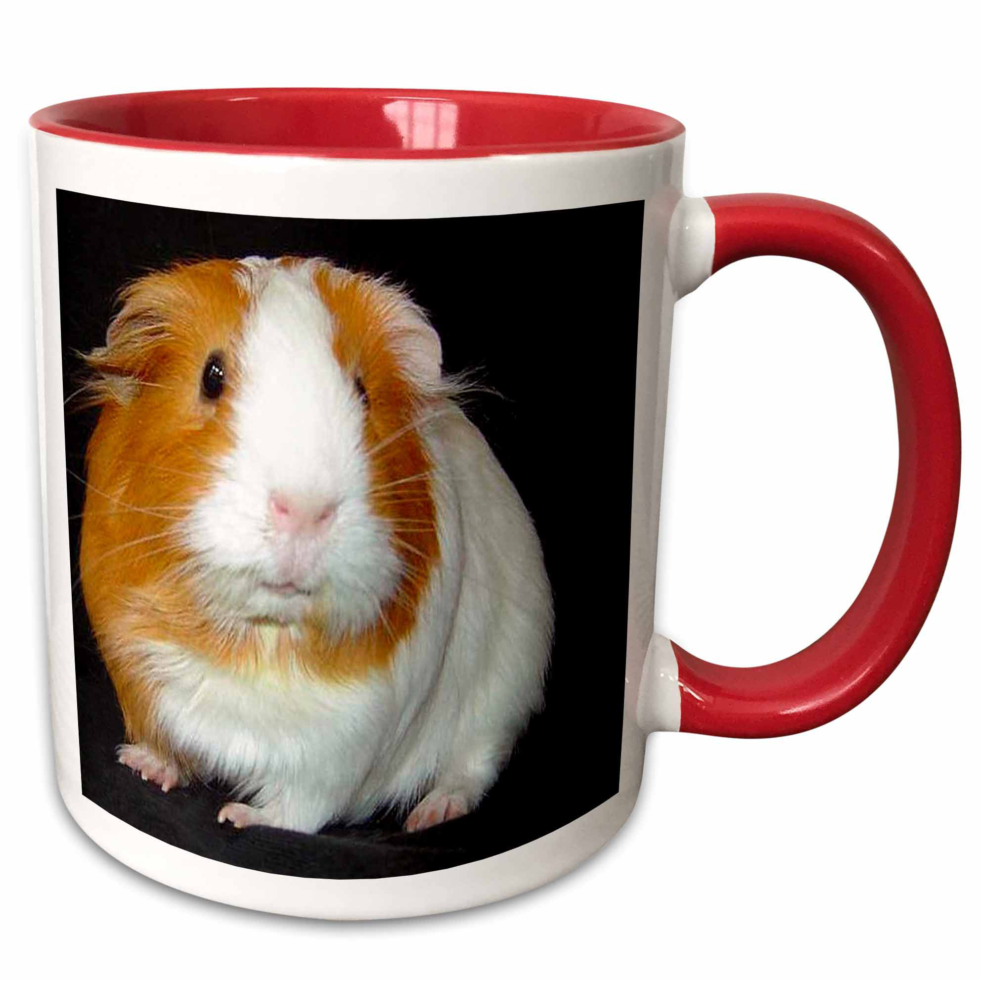 East Urban Home Guinea Pig Coffee Mug Wayfair