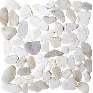 White Cream Pebble Tile You Ll Love Wayfair Random Sized Natural Stone Pebble Tile In White Shell